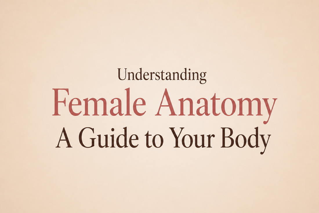 A soft, abstract illustration representing female anatomy education in a warm, dignified and non-clinical style