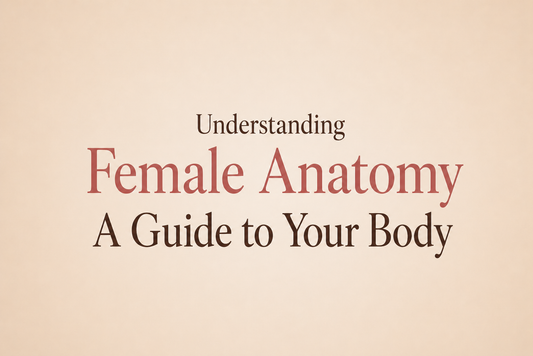 A soft, abstract illustration representing female anatomy education in a warm, dignified and non-clinical style